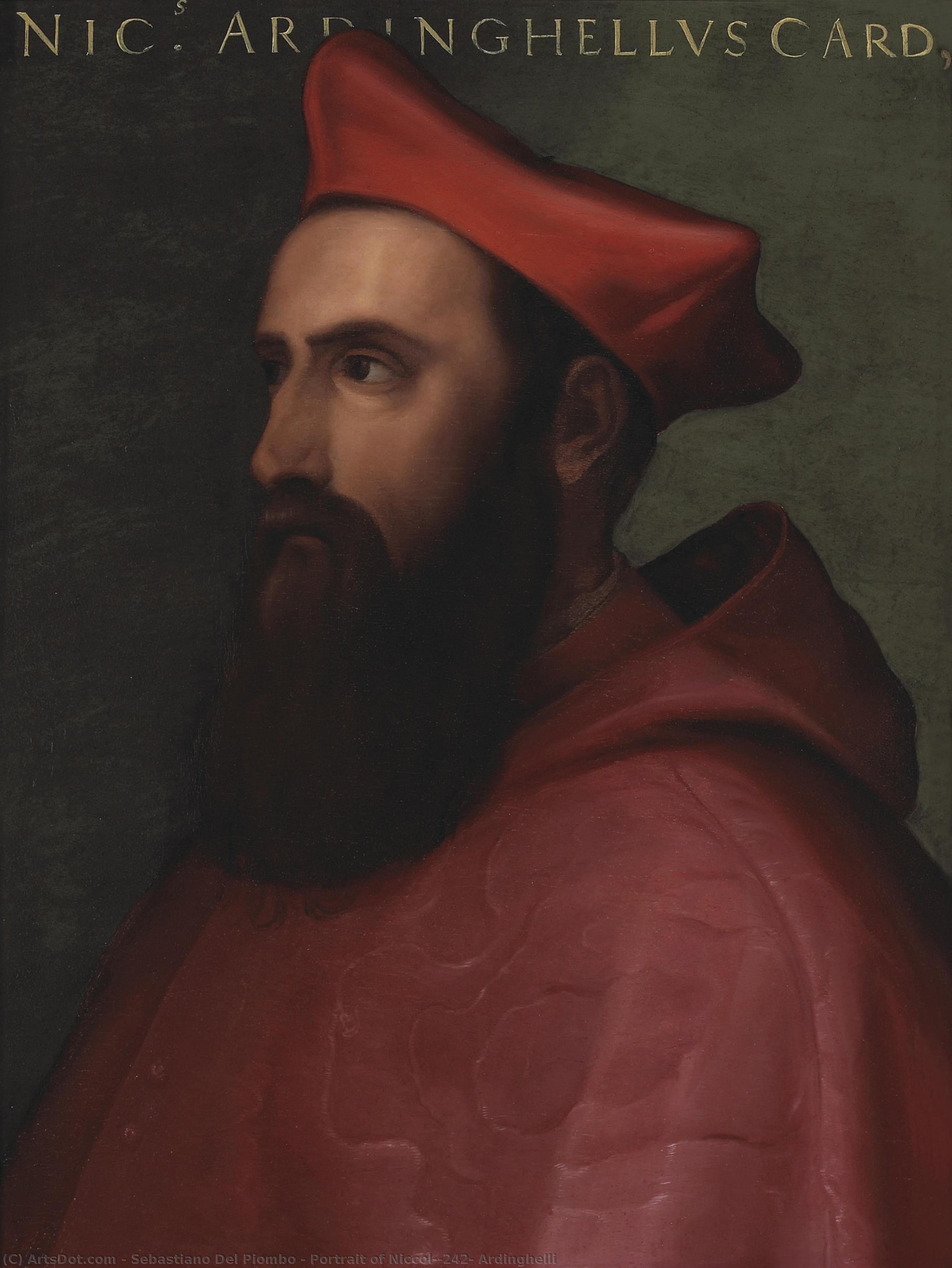 Portrait Of Niccolò Ardinghelli — Sebastiano Del Piombo