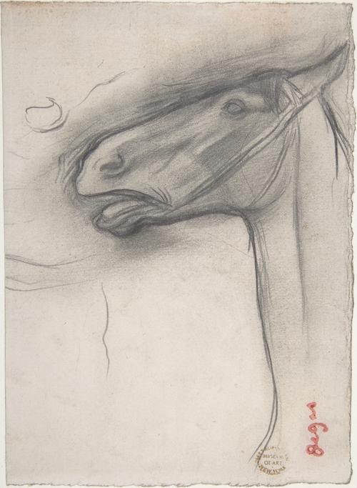 Head Of A Horse — Edgar Degas