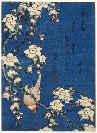 Weinender Kirschbaum Und Meise — Katsushika Hokusai