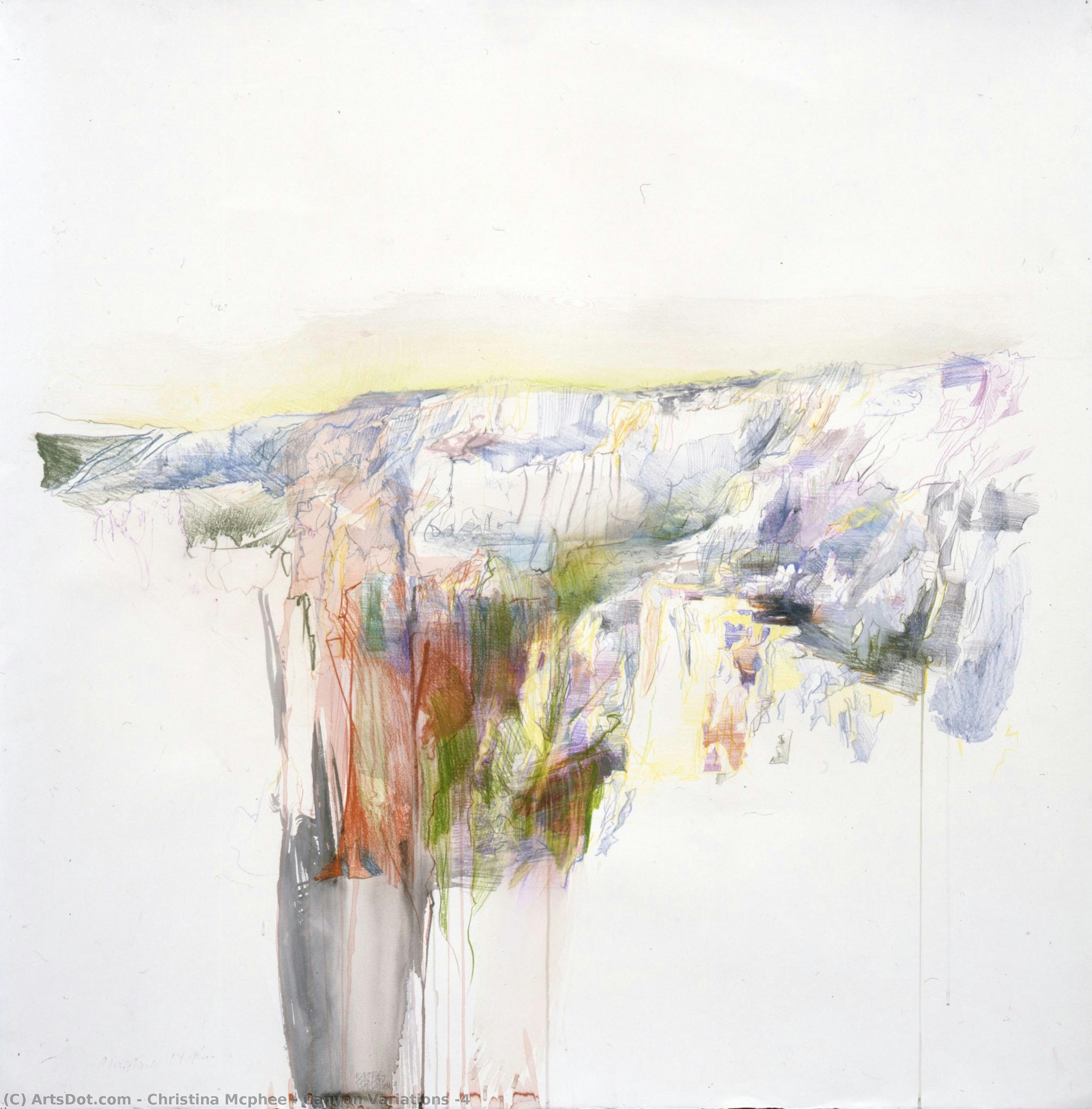 Canyon Variations #4 — Christina Mcphee