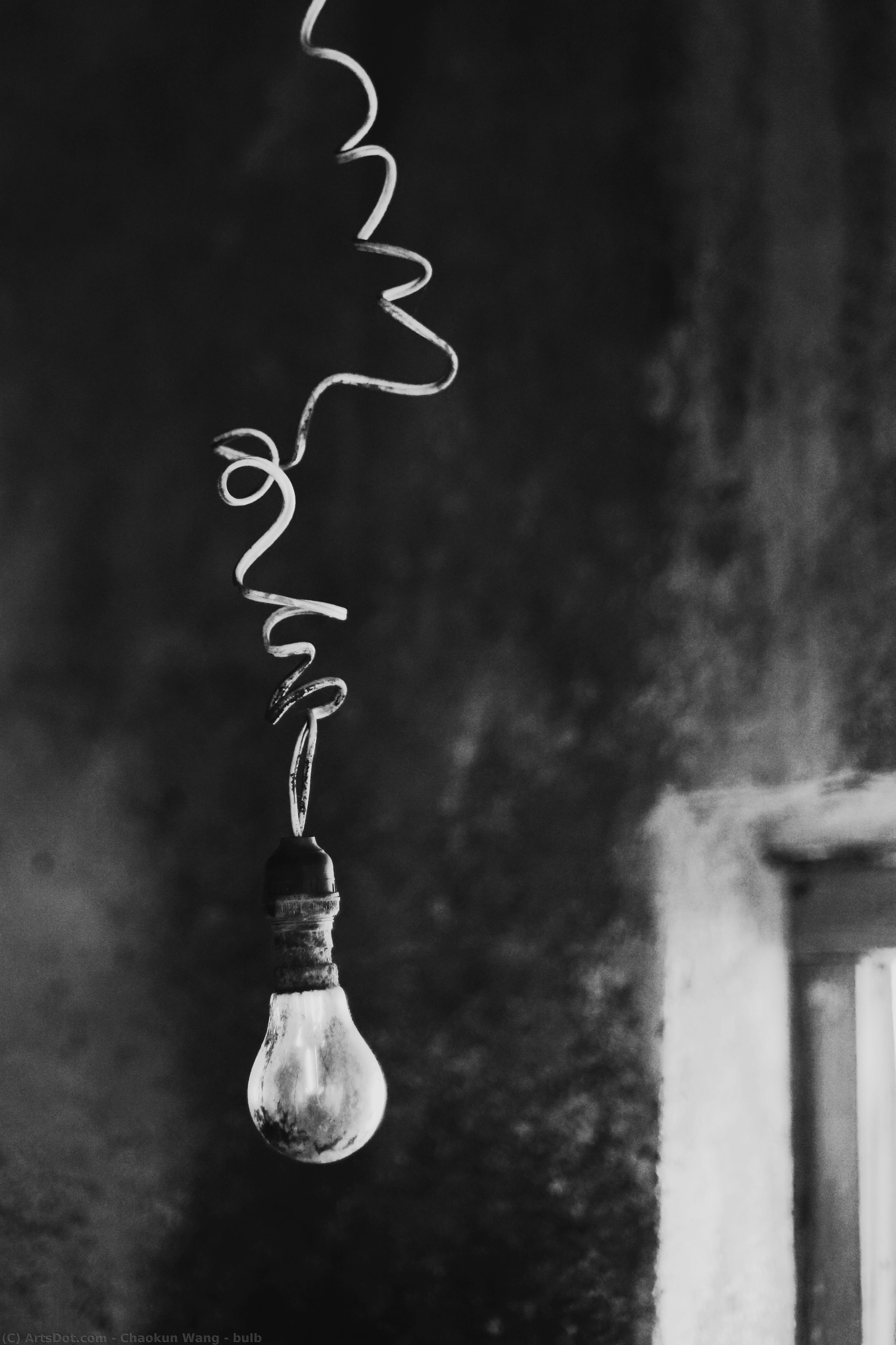 Bulb — Chaokun Wang