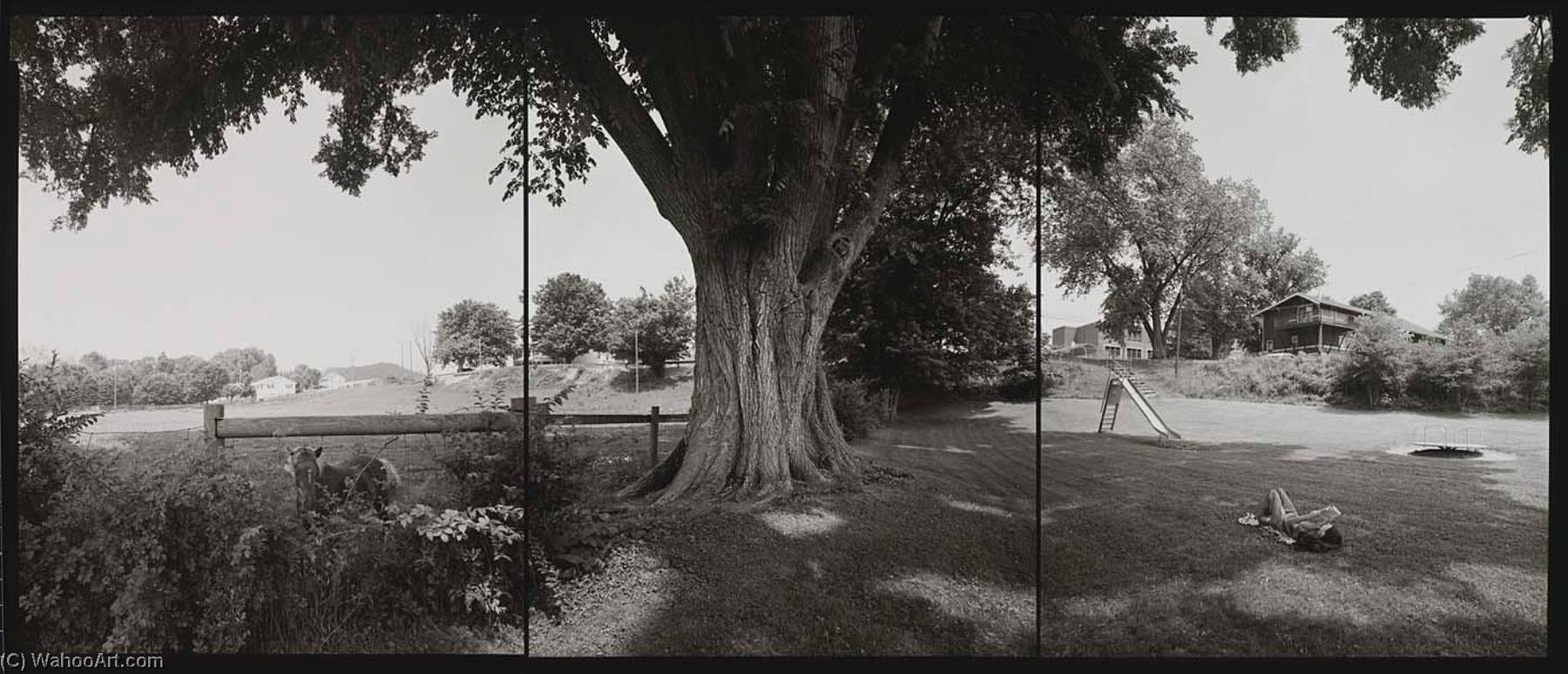 National Champion Slippery Elm With Jeffrey, Ohio, 2002 — Barbara Bosworth