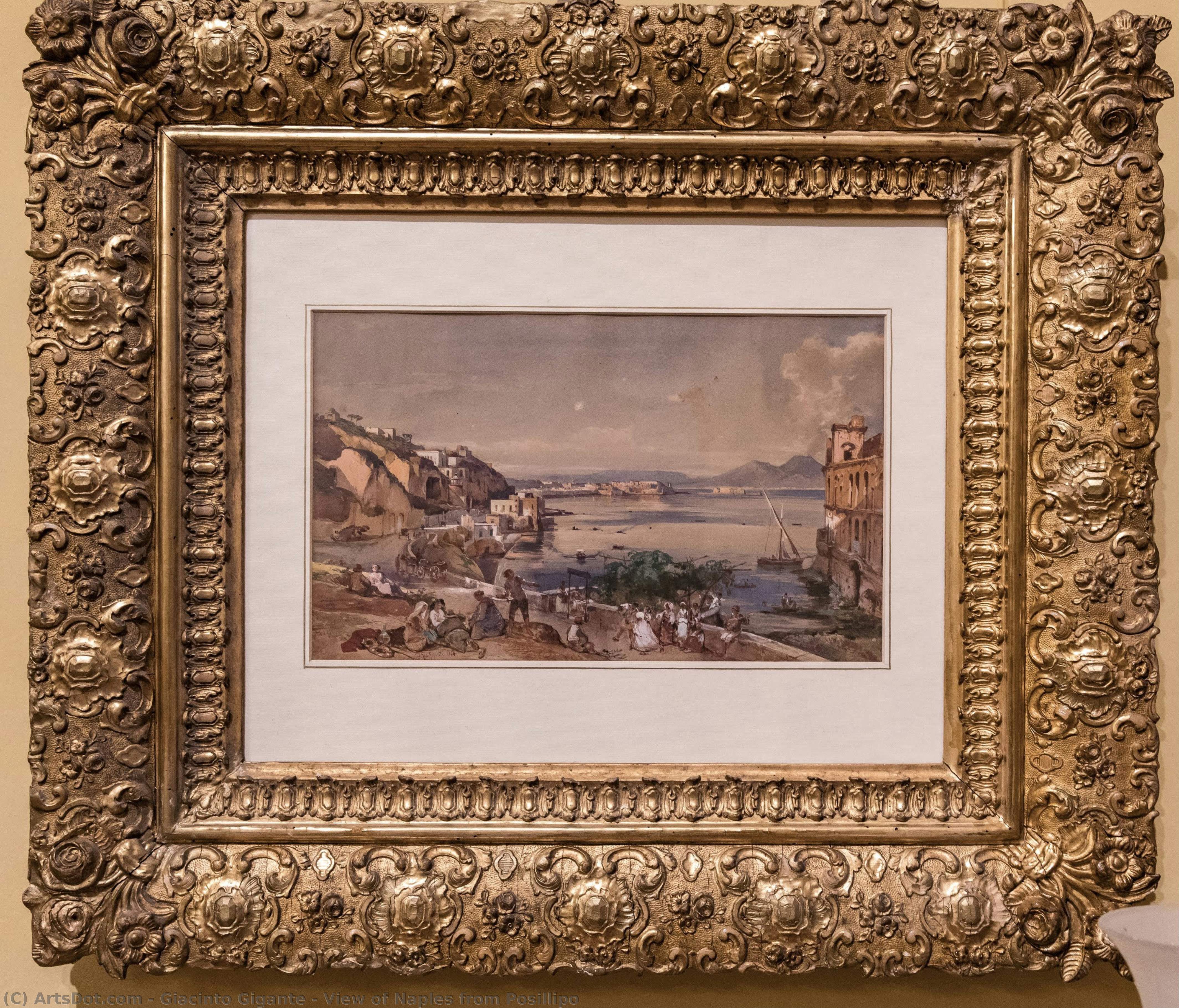 View Of Naples From Posillipo — Đakinto Đigante