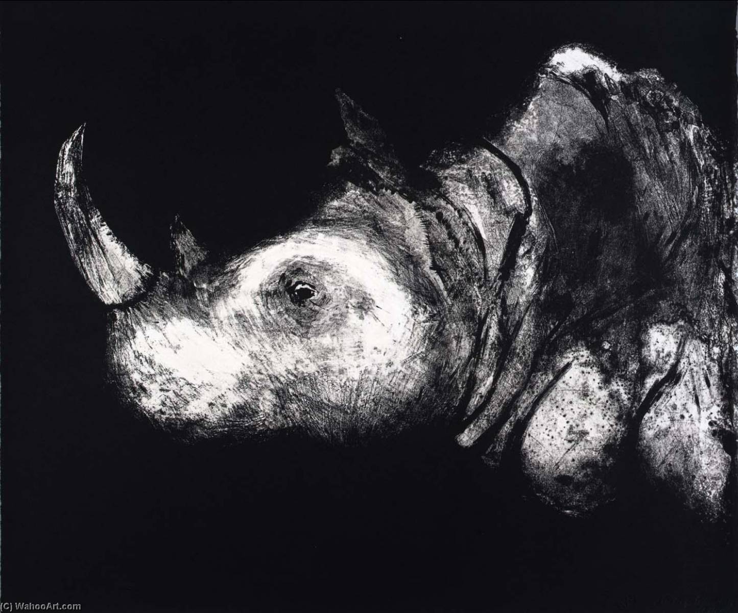 (a Bestiary, Portfolio) Rhinocerus — Aubrey Schwartz