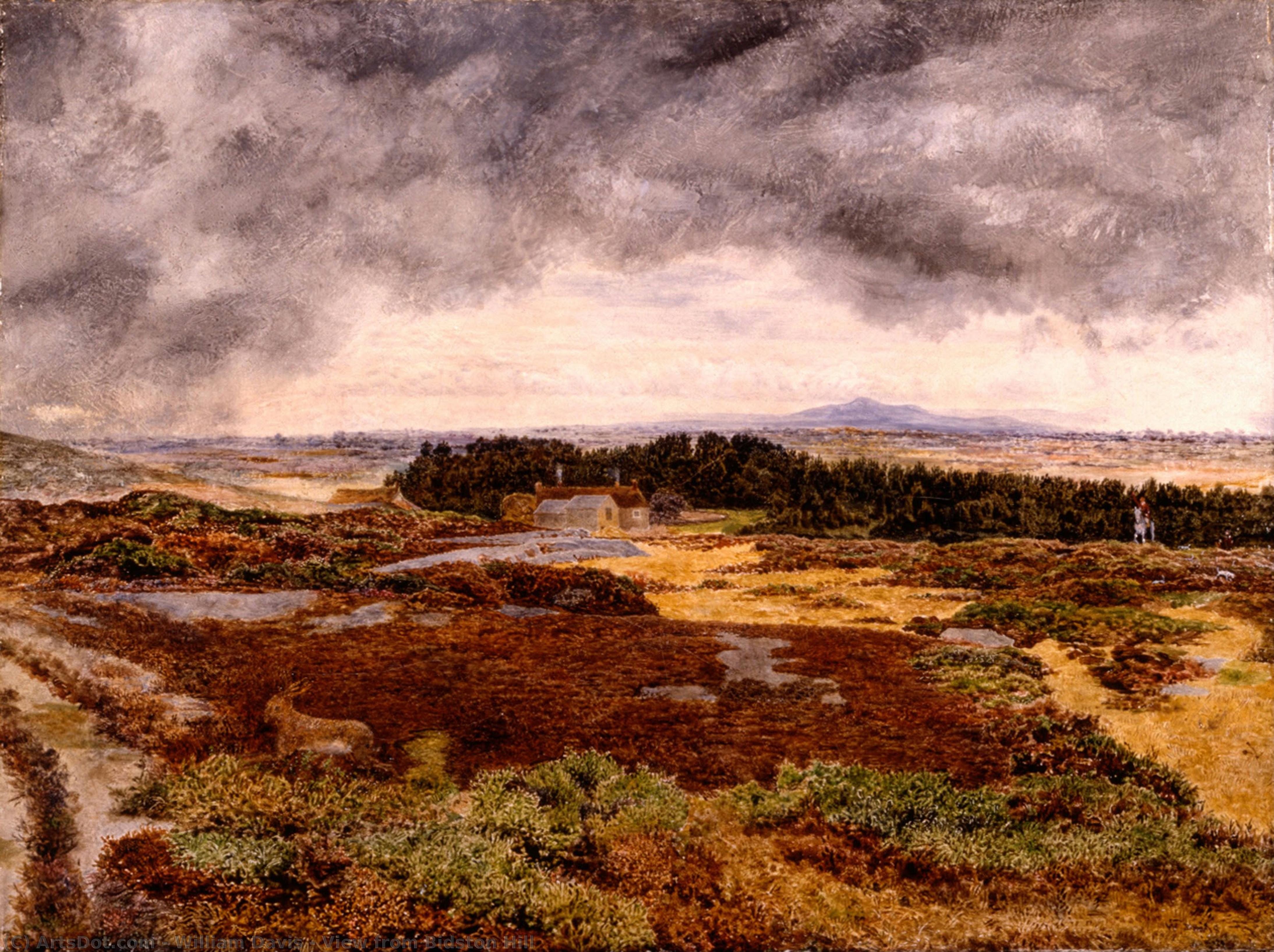 View From Bidston Hill — William Davis