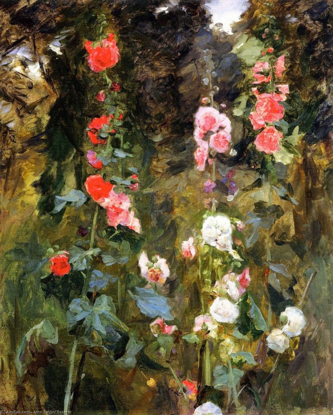 Hollyhocks, Isle Of Shoals — John Singer Sargent