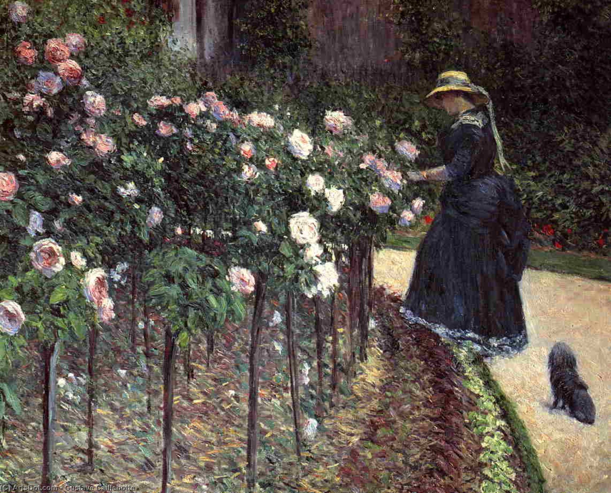 Roses In The Garden At Petit Gennevilliers — Gustave Caillebotte