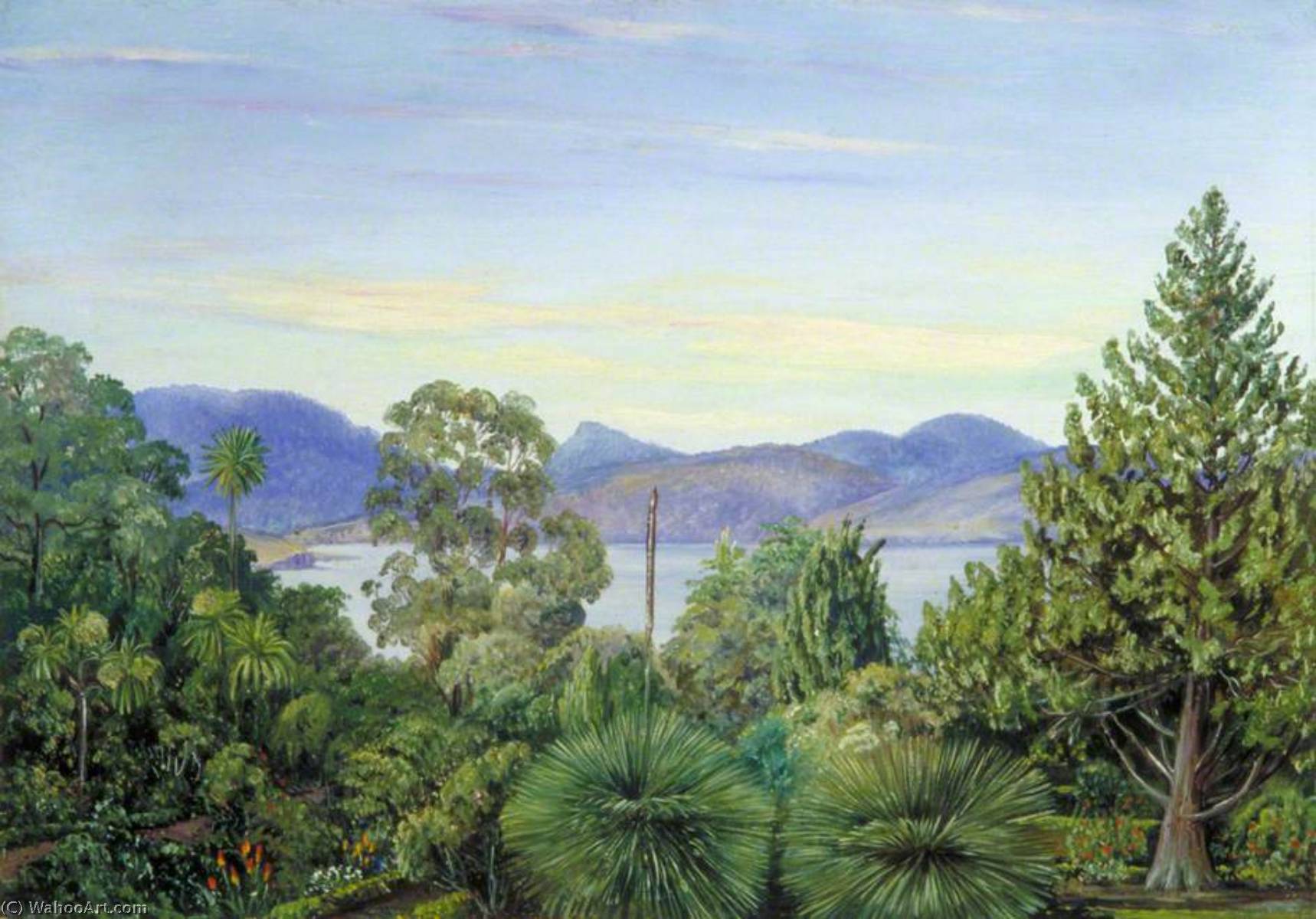 Ausblick Vom Botanischen Garten Hobart Town, Tasmania — Marianne North