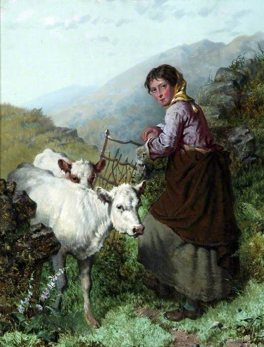 Cattle Fold — Isaac Henzell