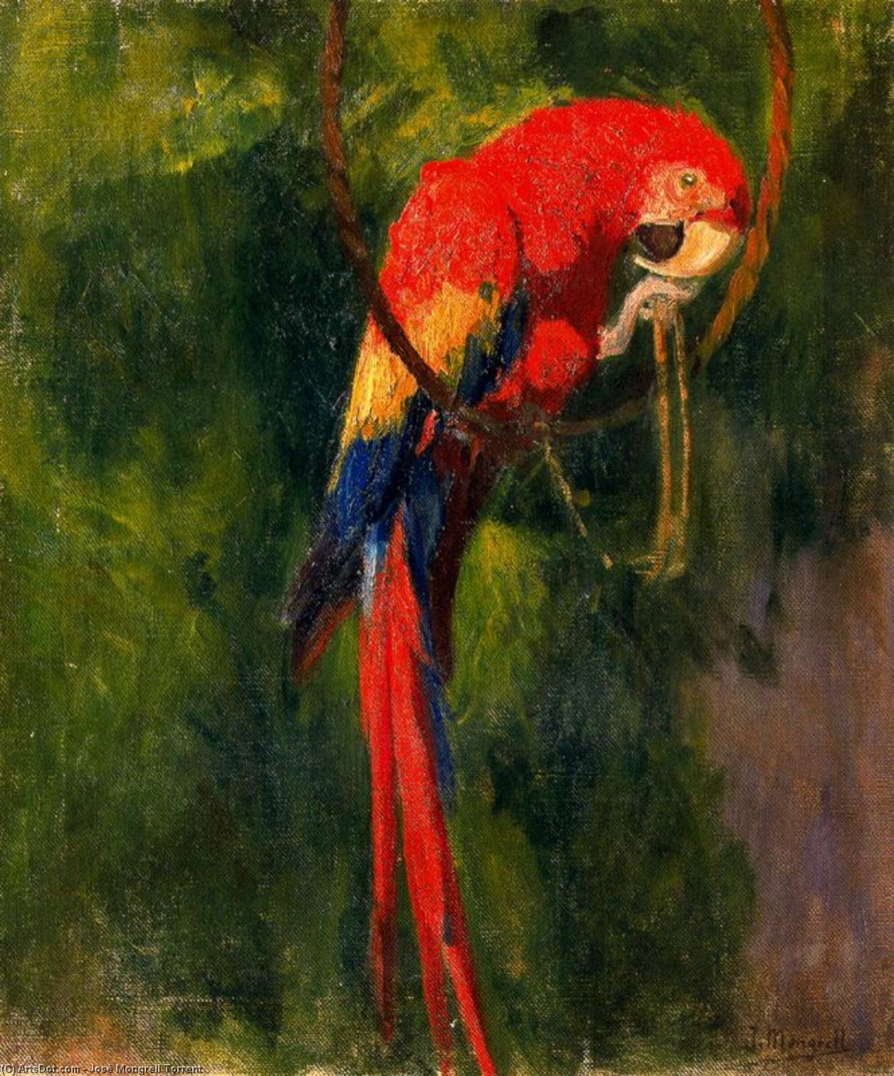 Parrot — Хосе Монгрель Торрент