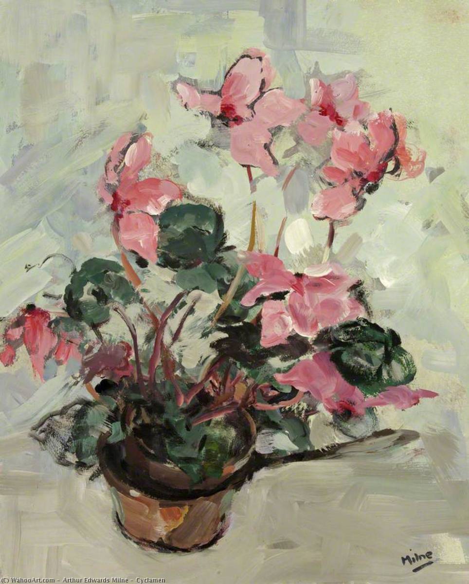 Cyclamen — Arthur Edwards Milne