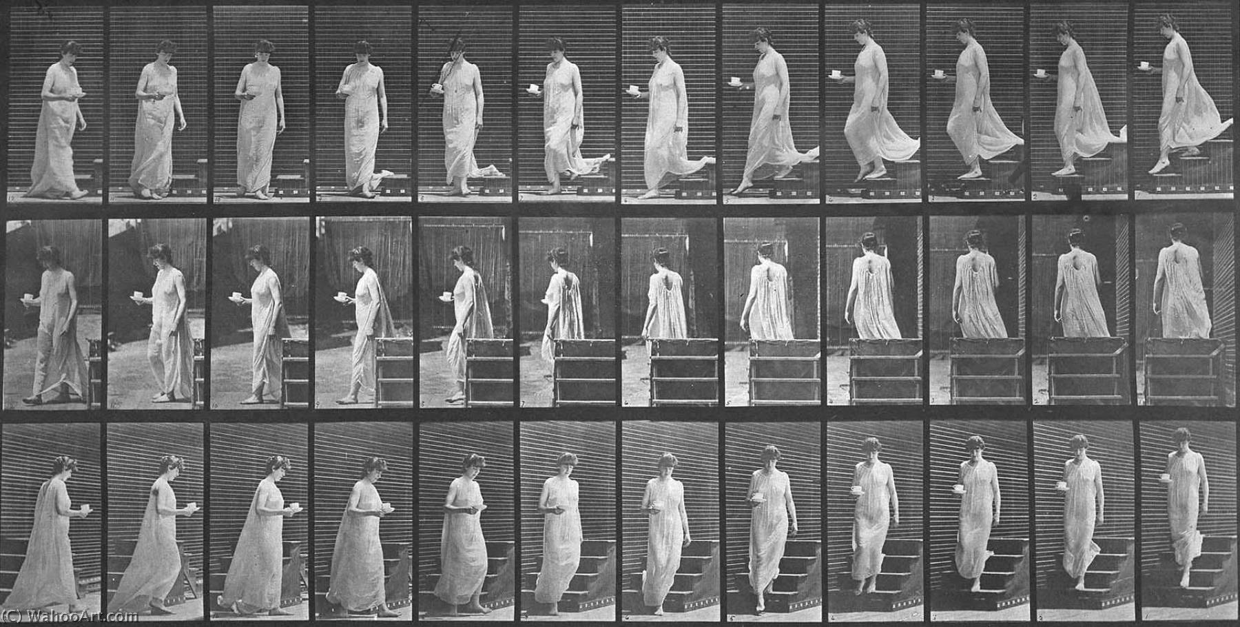 Woman Descending A Stairway And Turning Around, From The Book, Animal Locomotion — Eadweard J Muybridge