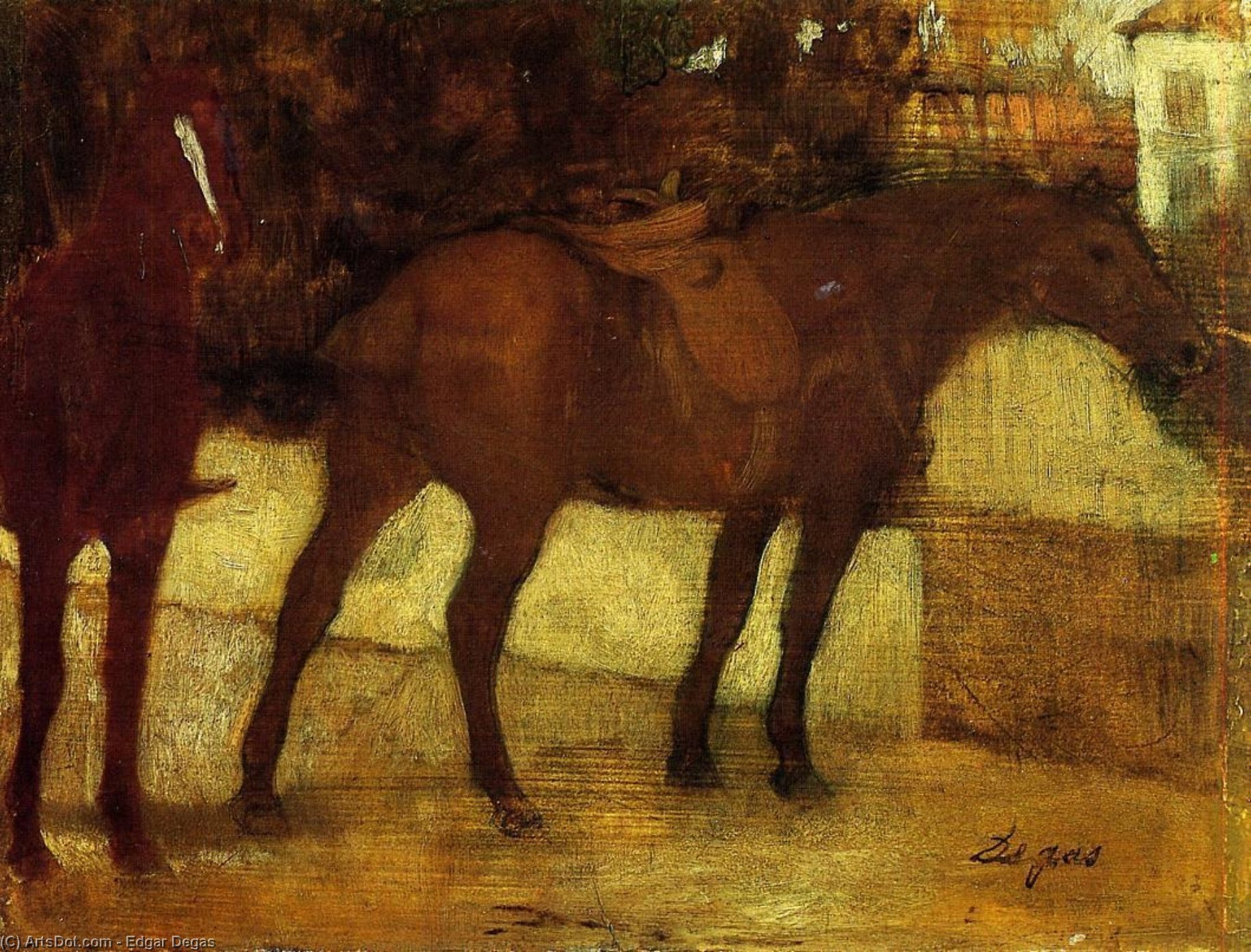Study Of Horses — Hilaire-germain-edgar Degas