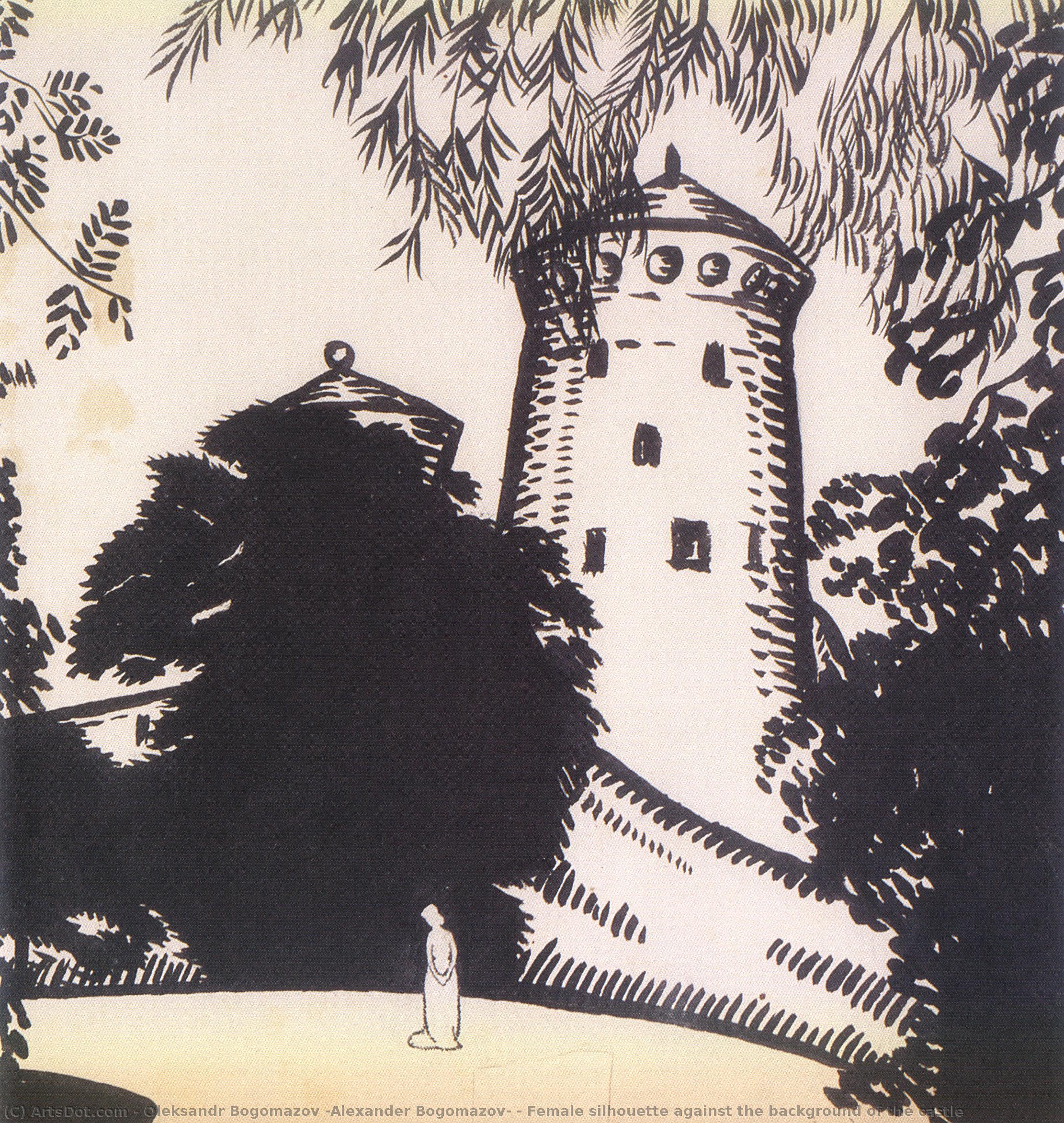 Female Silhouette Against The Background Of The Castle — Oleksandr Bogomazov (alexander Bogomazov)