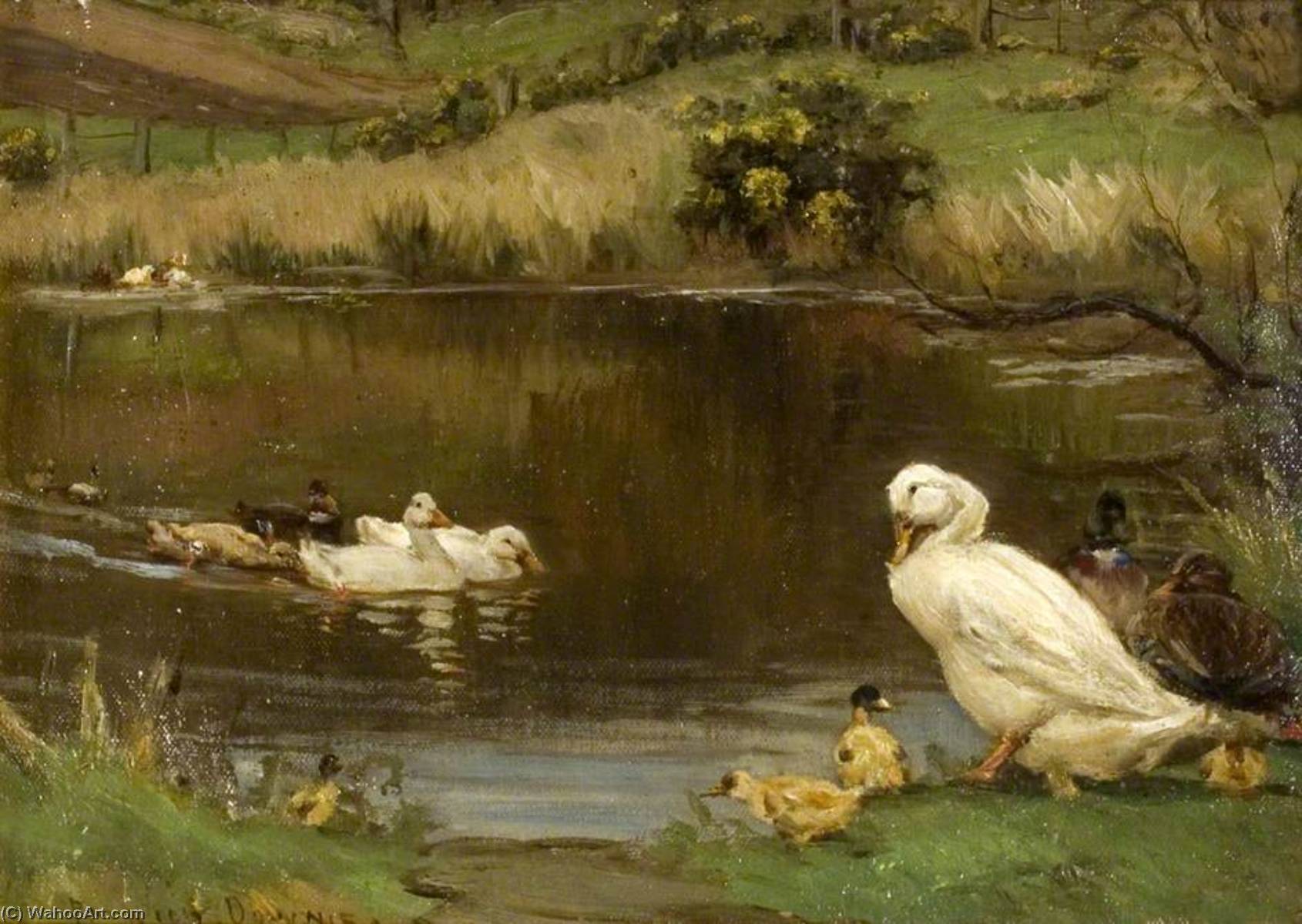 Ducks And Ducklings On Pond — Patrick Downie