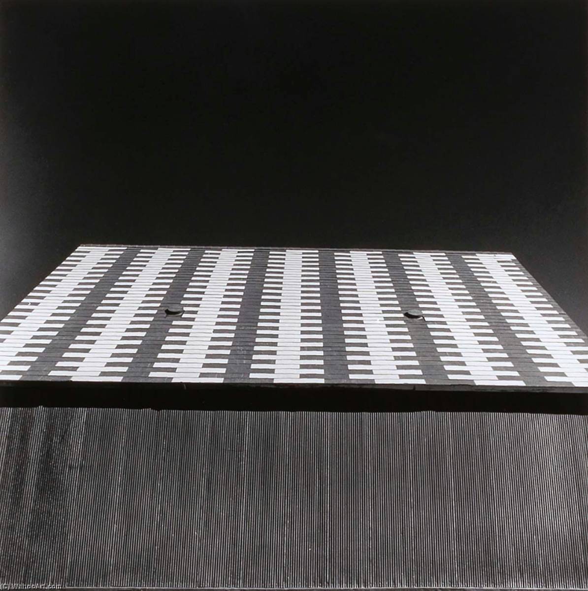 Barn Roof, Kiowa County, From The Kansas Documentary Survey Project — Larry W Schwarm
