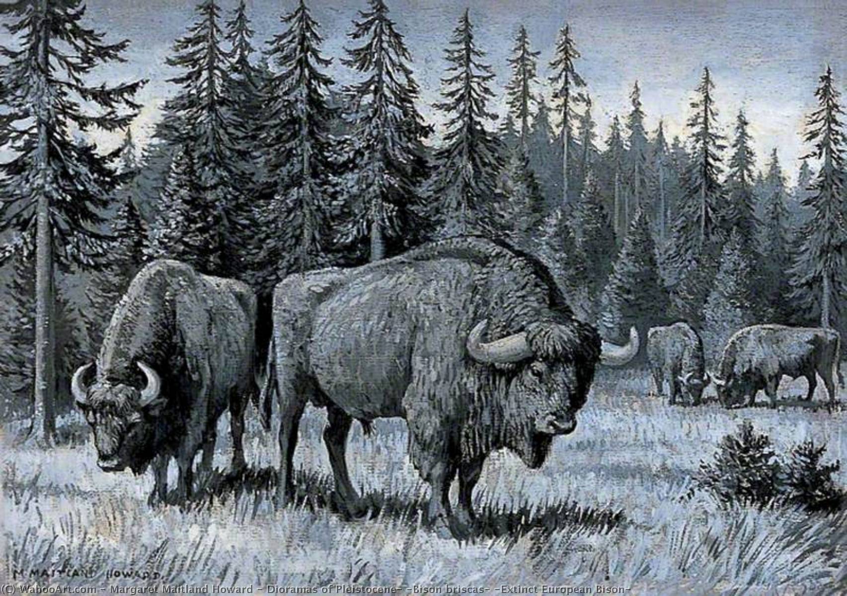Dioramas Of Pleistocene, 'bison Briscas' (extinct European Bison) — Margaret Maitland Howard