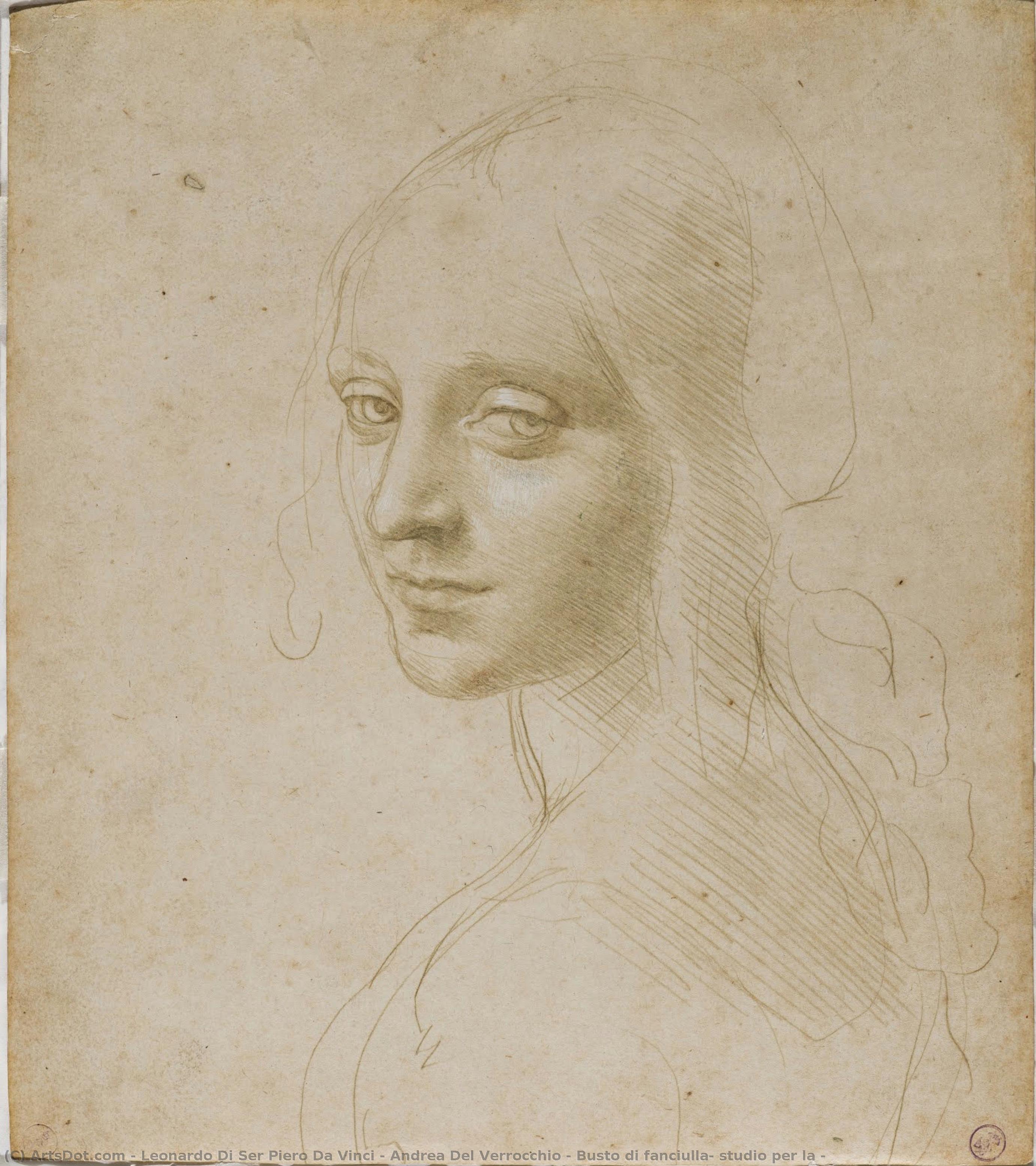 Busto Di Fanciulla, Studio Per La — Leonardo Di Ser Piero Da Vinci & Andrea Del Verrocchio