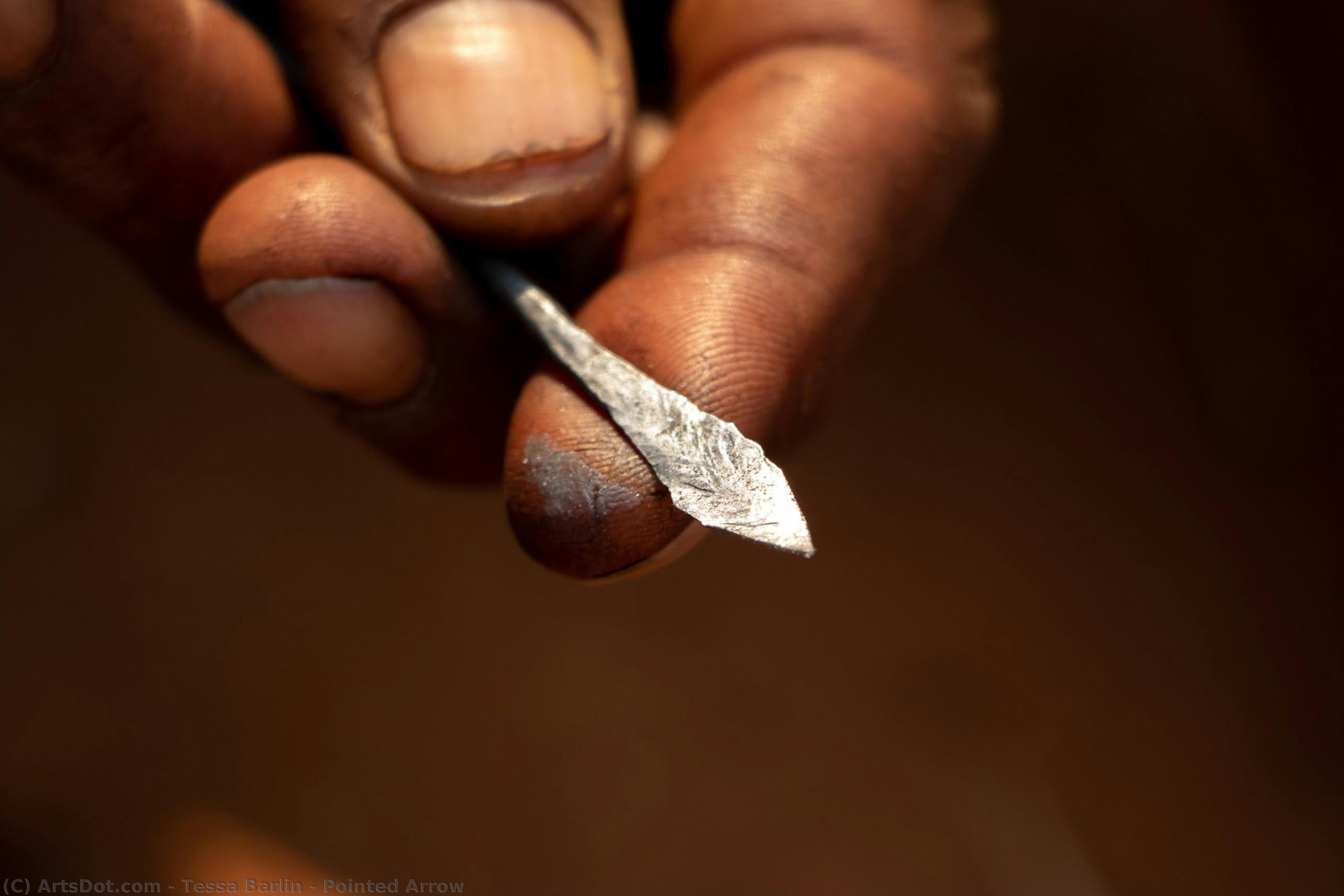 Pointed Arrow — Tesa Barlin