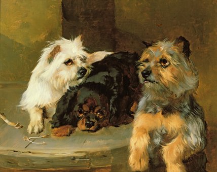 Give A Poor Dog A Bone — George William Horlor
