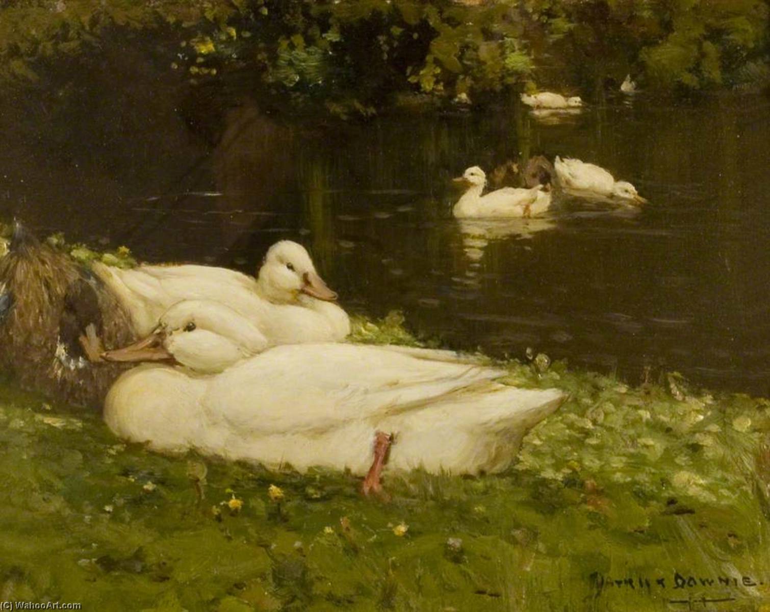 The Duck Pond — Patrick Downie
