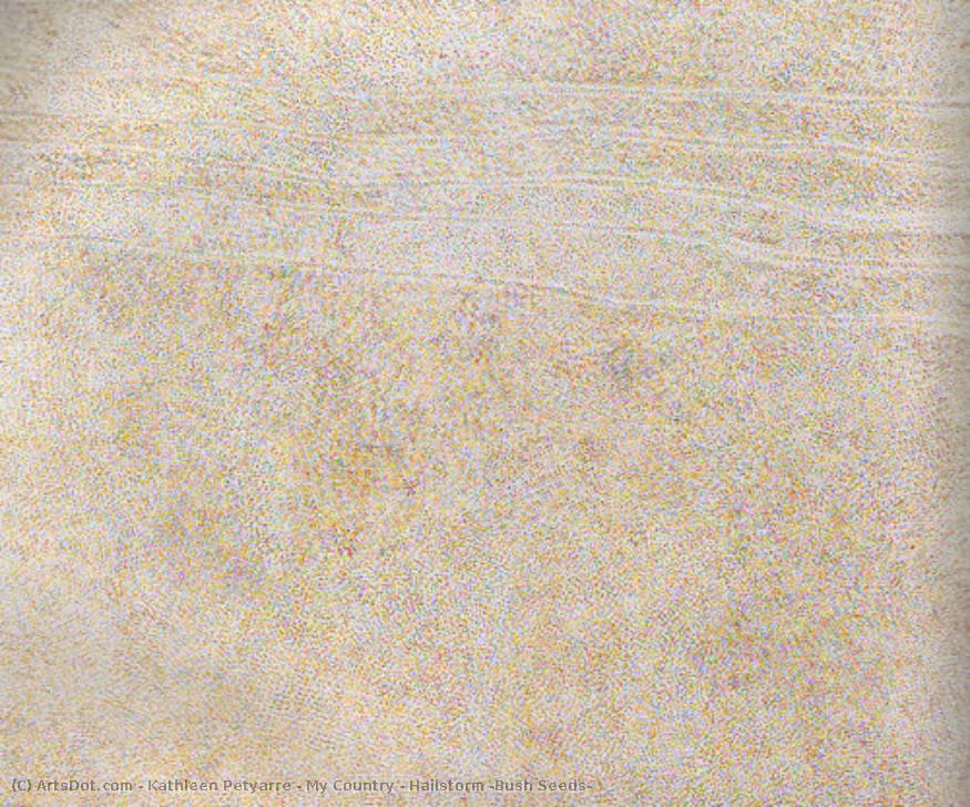 My Country / Hailstorm (bush Seeds) — Kathleen Petyarre
