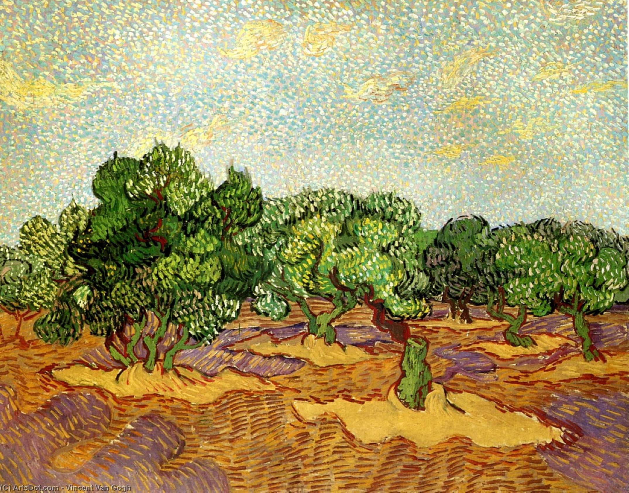 Olive Grove - Pale Blue Sky — Vincent Willem Van Gogh