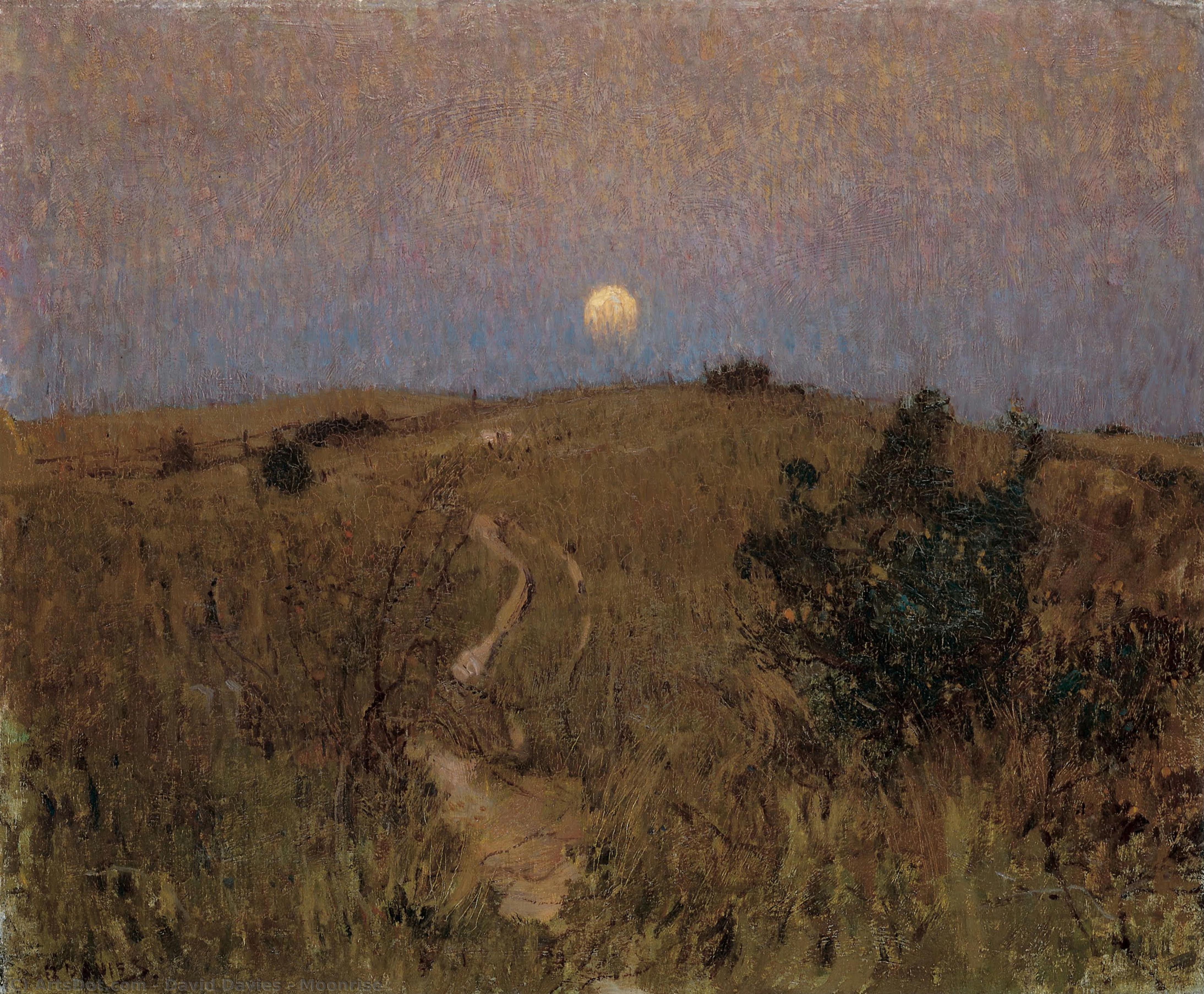 Moonrise — David Davies