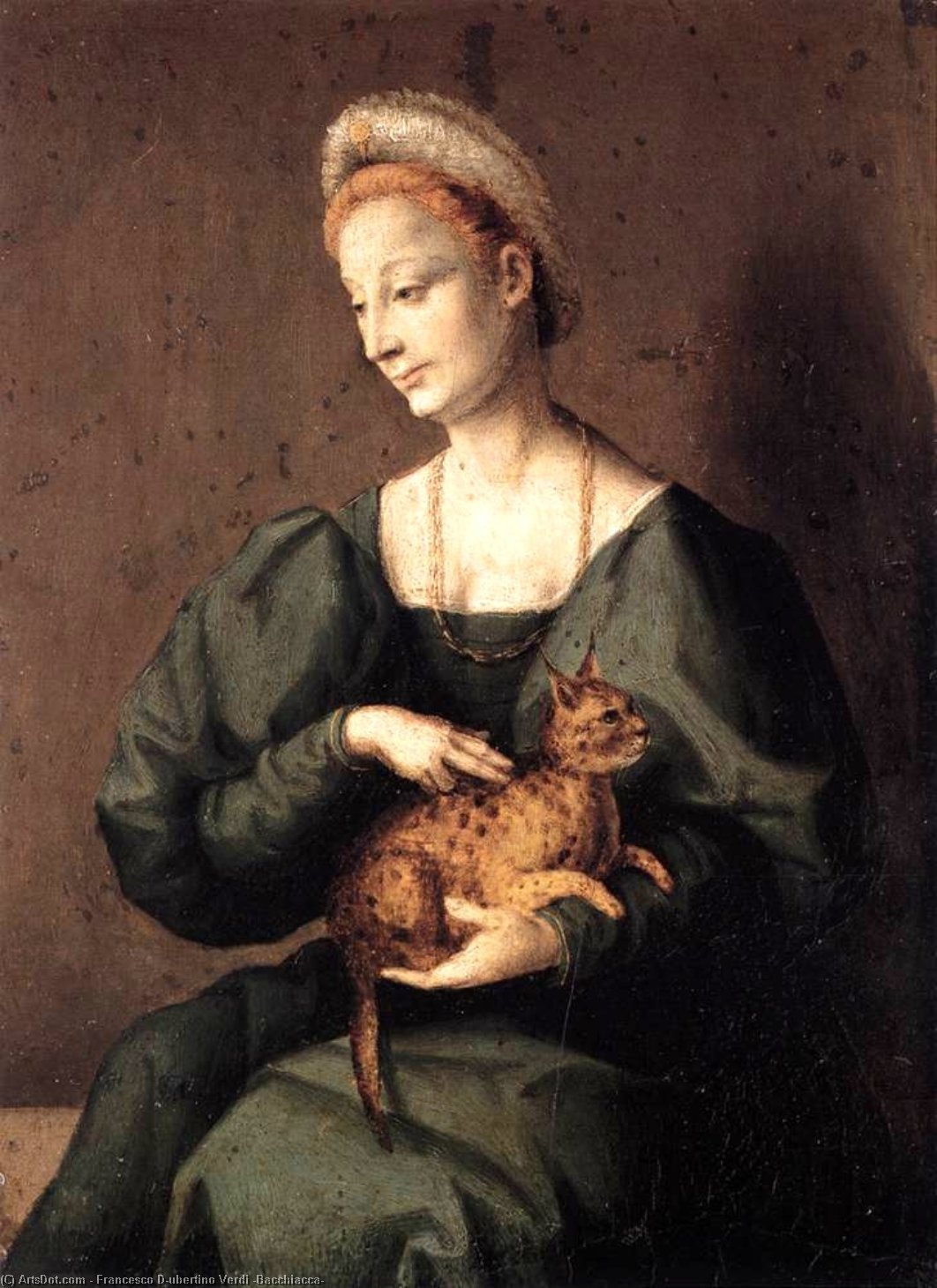 La Mujer Con El Gato — Francesco D'ubertino Verdi (bacchiacca)