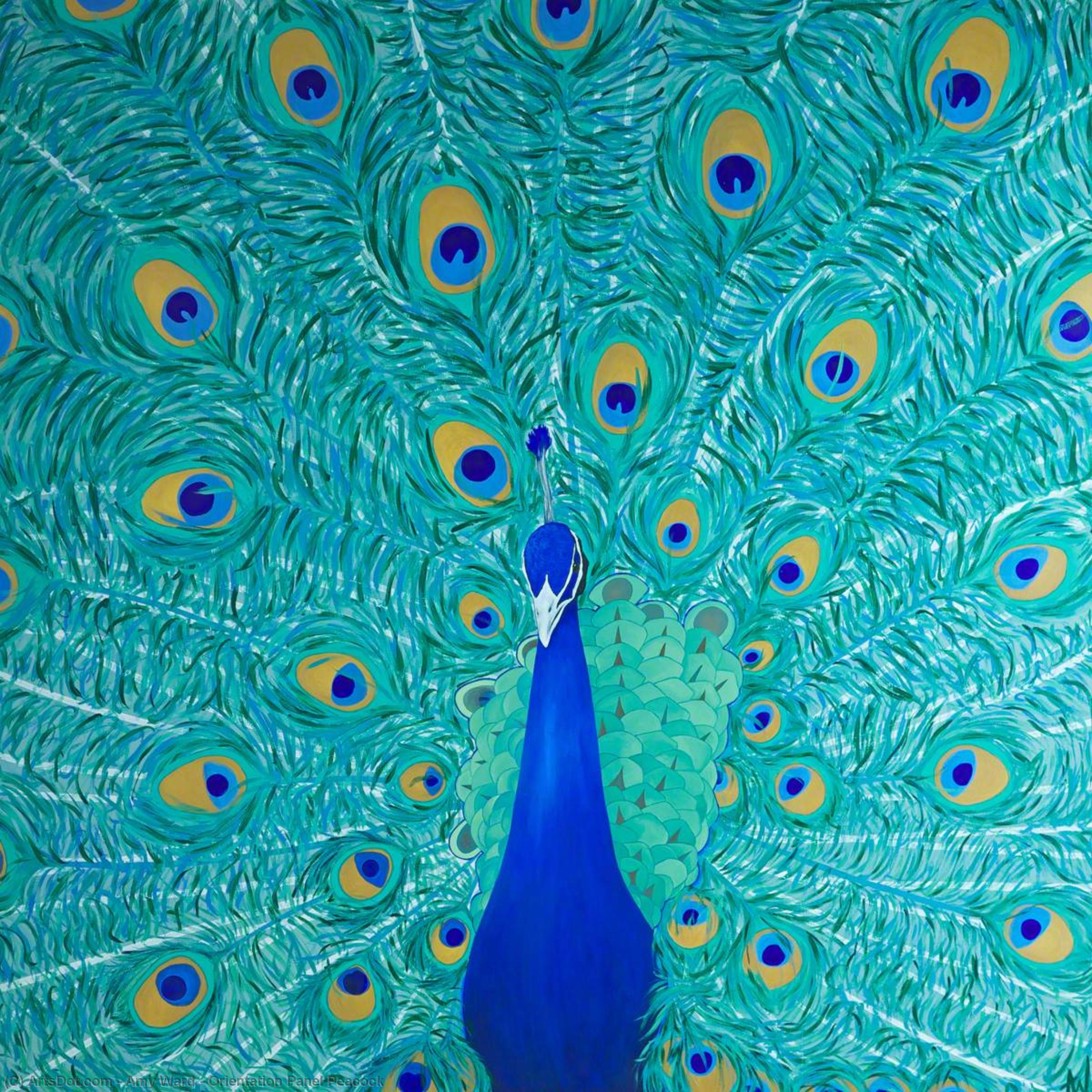 Orientation Panel Peacock — Amy Ward