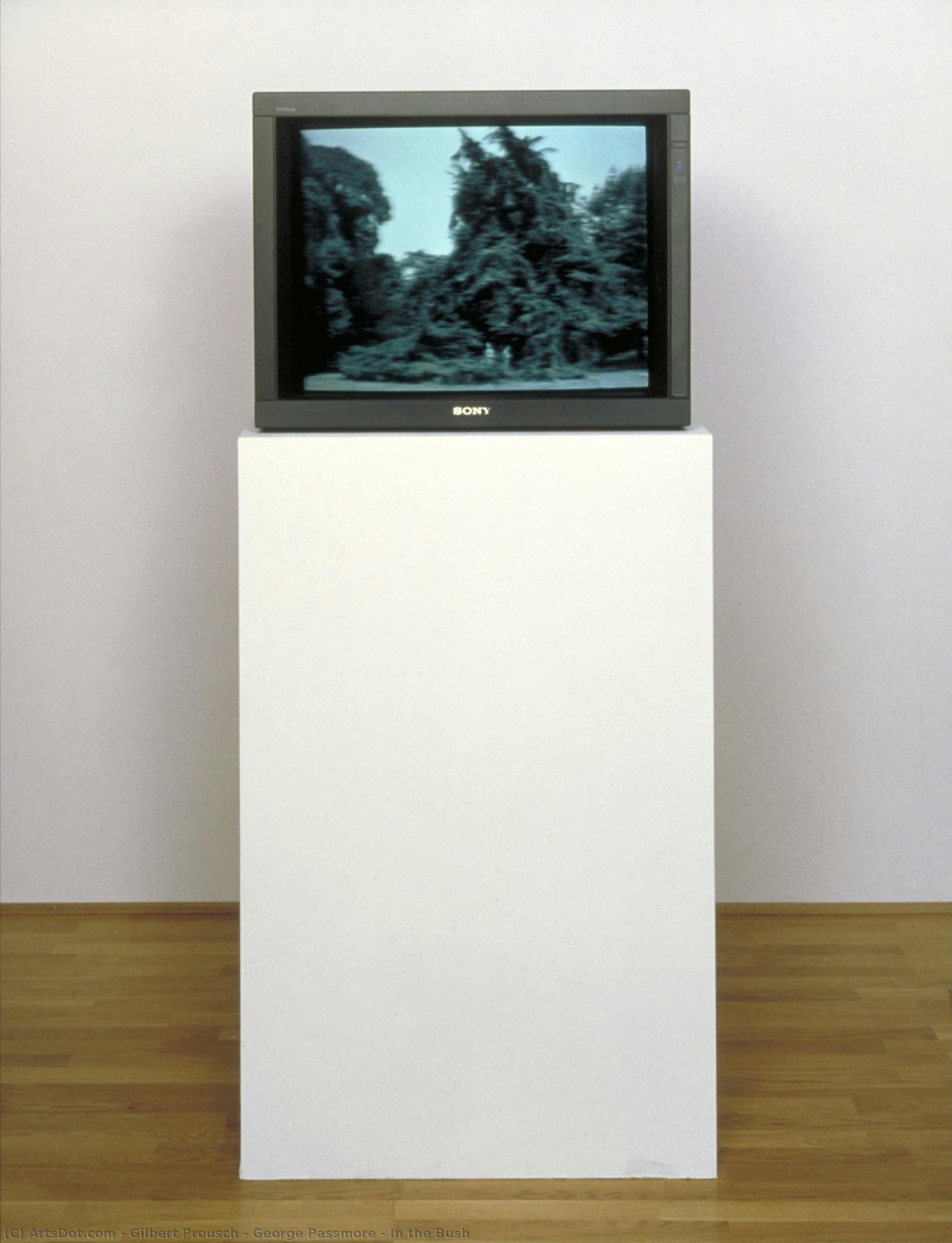 In The Bush — Gilbert & George