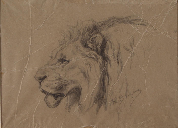 Head Of A Lion — Роза Бонхур