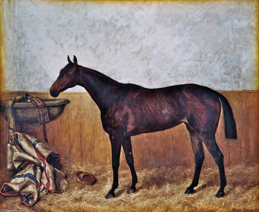 Dorothy — Frank Paton