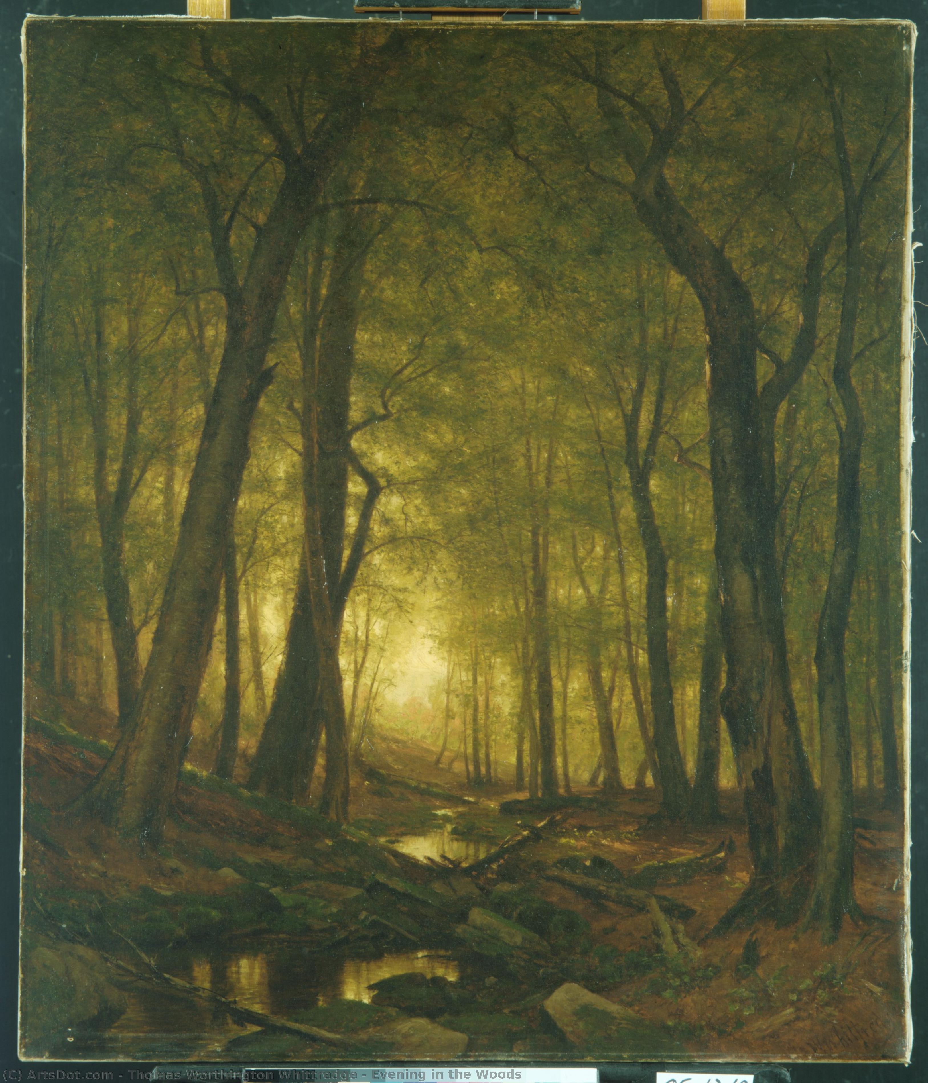 Evening In The Woods — Thomas Worthington Whittredge