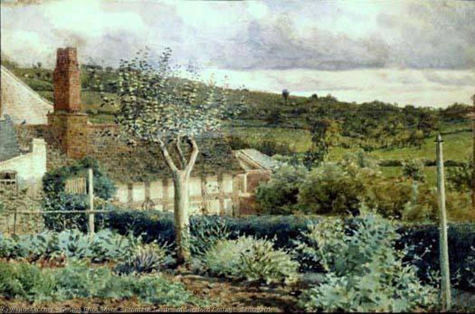 From The Garden Of Sherford Cottage, Bromyard — George Price Boyce