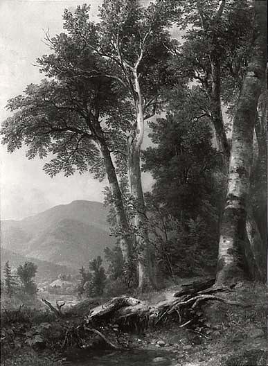 Woodland Landscape, (painting) — Asher Brown Durand
