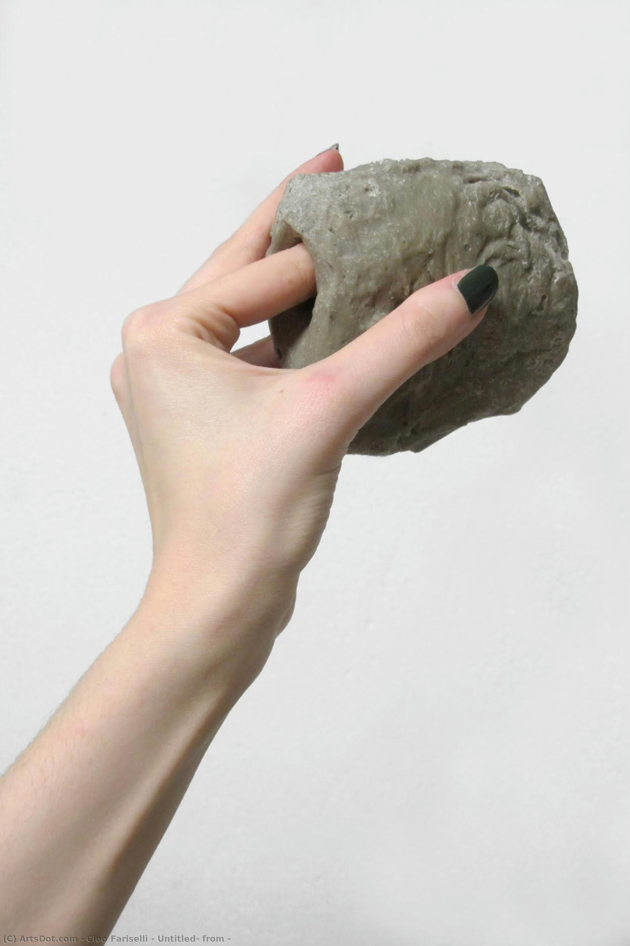 Untitled, From — Cleo Fariselli