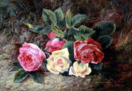Roses — George Clare