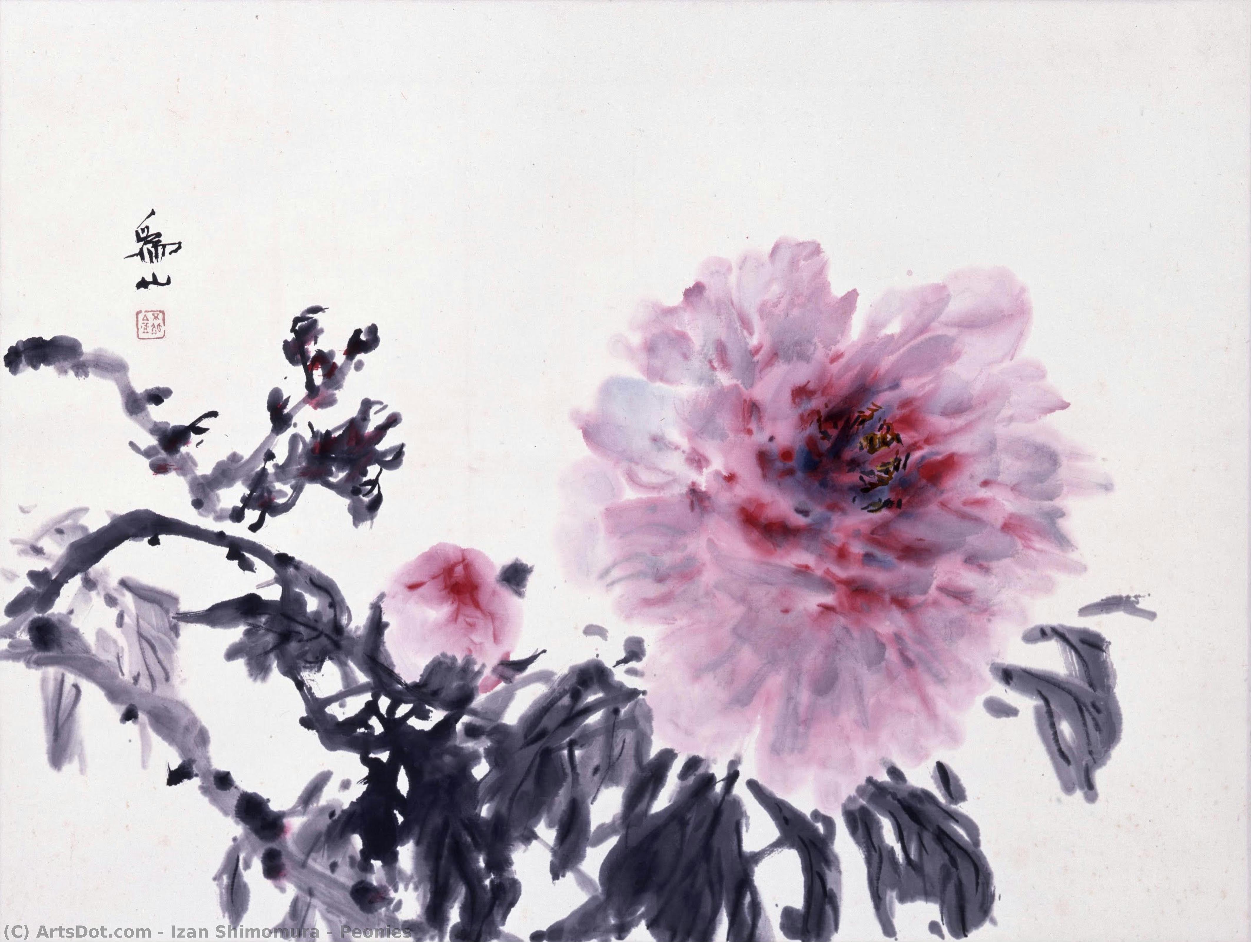 Peonies — Izan Shimomura