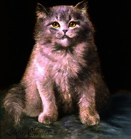 Study Of A Cat — Lilian Cheviot