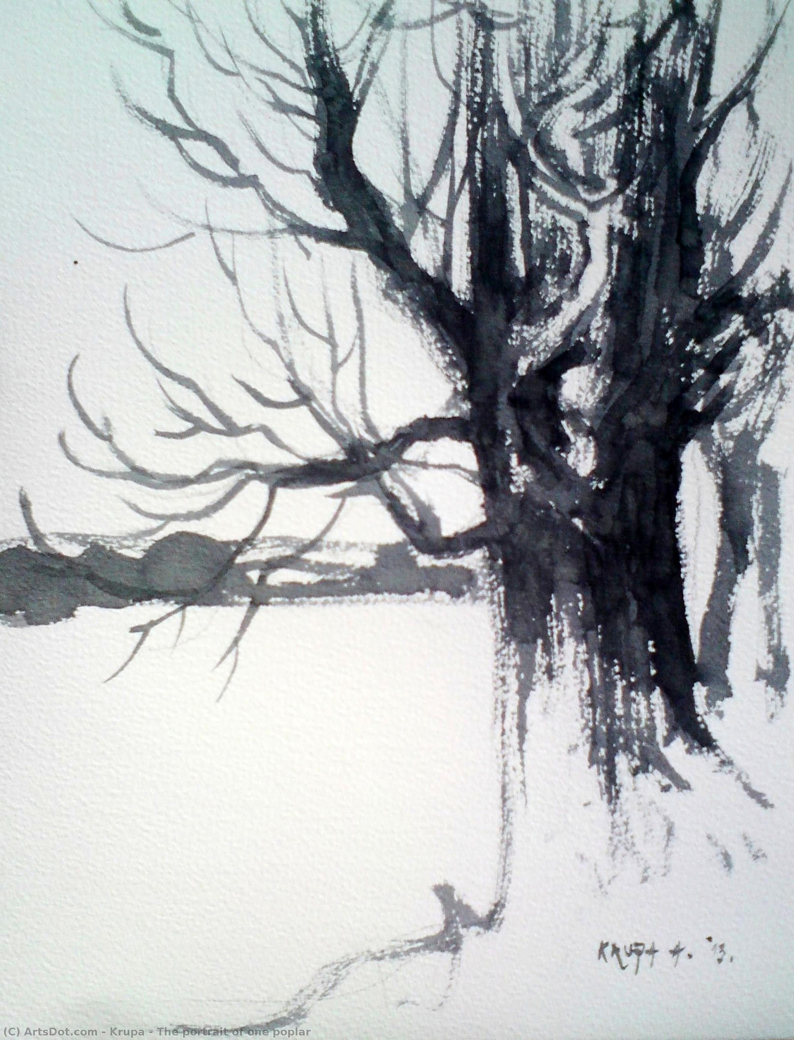 The Portrait Of One Poplar — Alfred Freddy Krupa