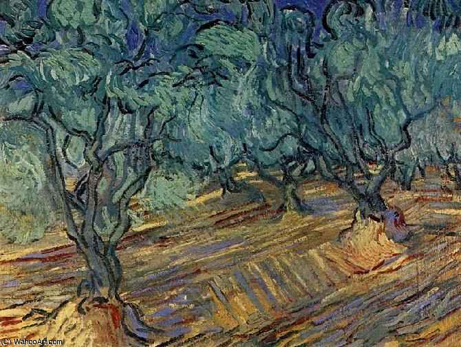 Oliviers Et Ciel Bleu — Vincent Willem Van Gogh