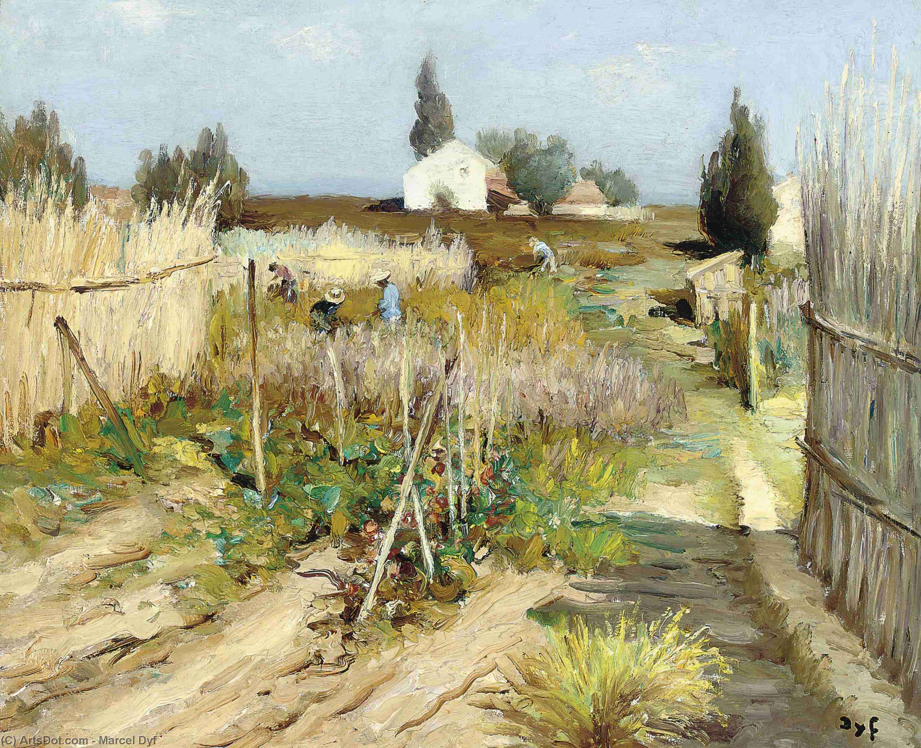 Kitchen Garden In Provence, (1950) — Marcel Dyf
