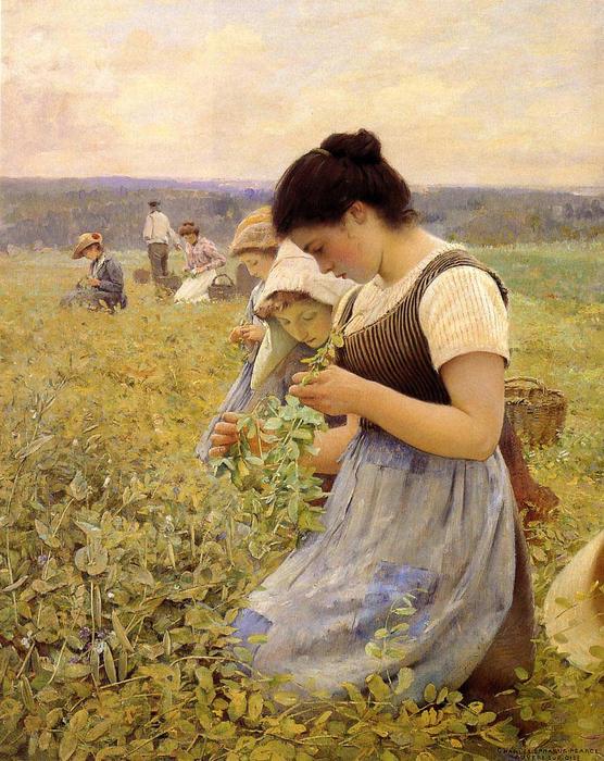 Women In The Fields — チャールズ・スプレーグ・ピアース
