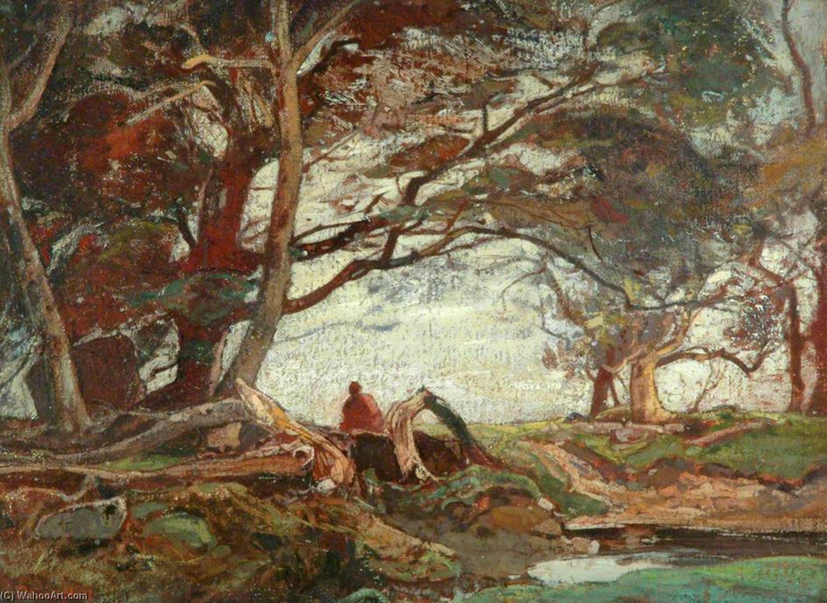Evening Light, Bardsea Forest — Oliver Hall