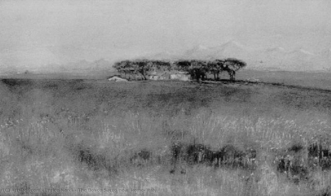 The Bosco Sacro Near Rome, Italy — Enrico Nardi