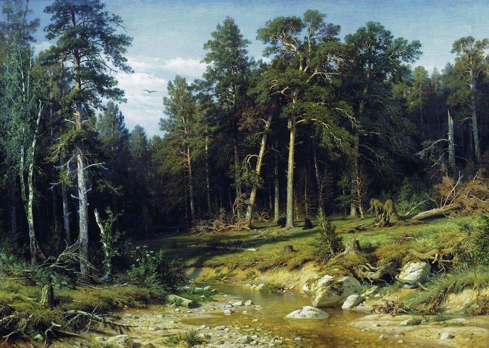 Pine Forest In Vyatka Province — Ivan Ivanovich Shishkin