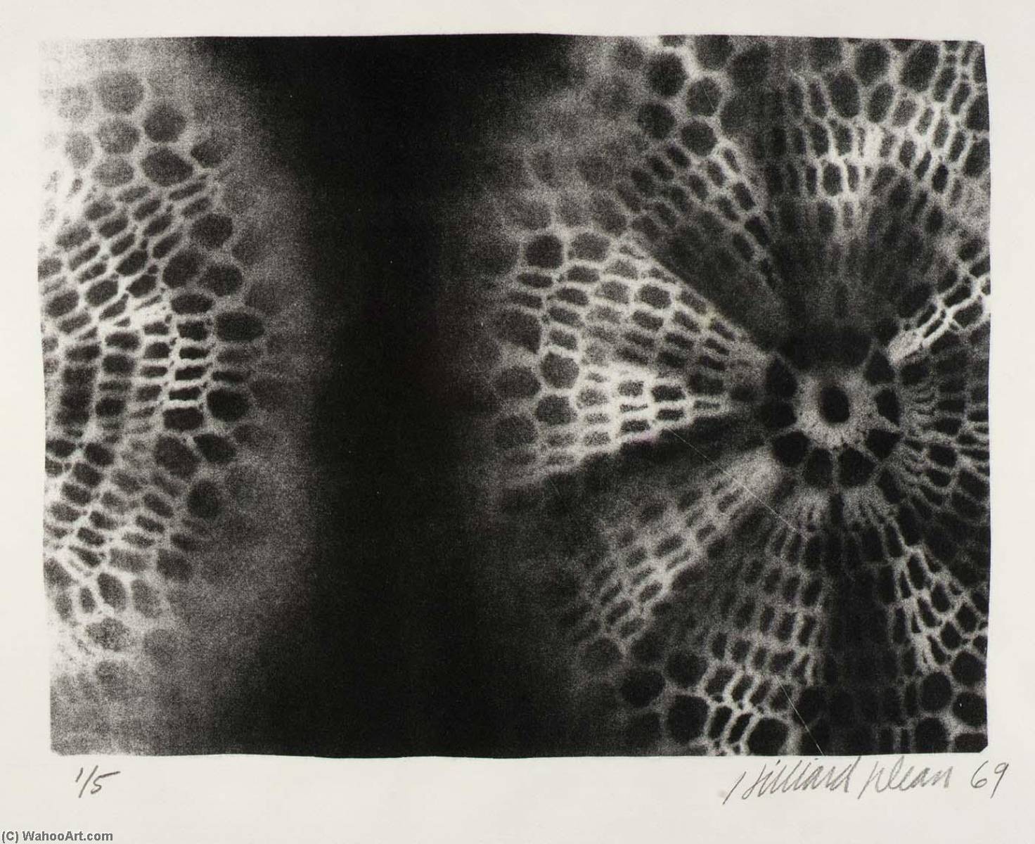 Untitled ( C) — Hilliard Dean