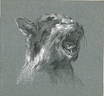 Head Of A Cat Meowing — Jean-baptiste Oudry