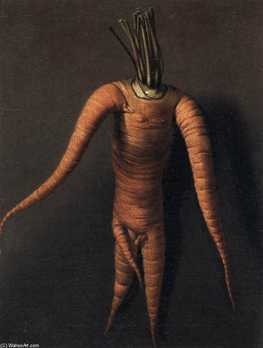 Carrot — ウィレム・ファン・デ・フェルデ1世